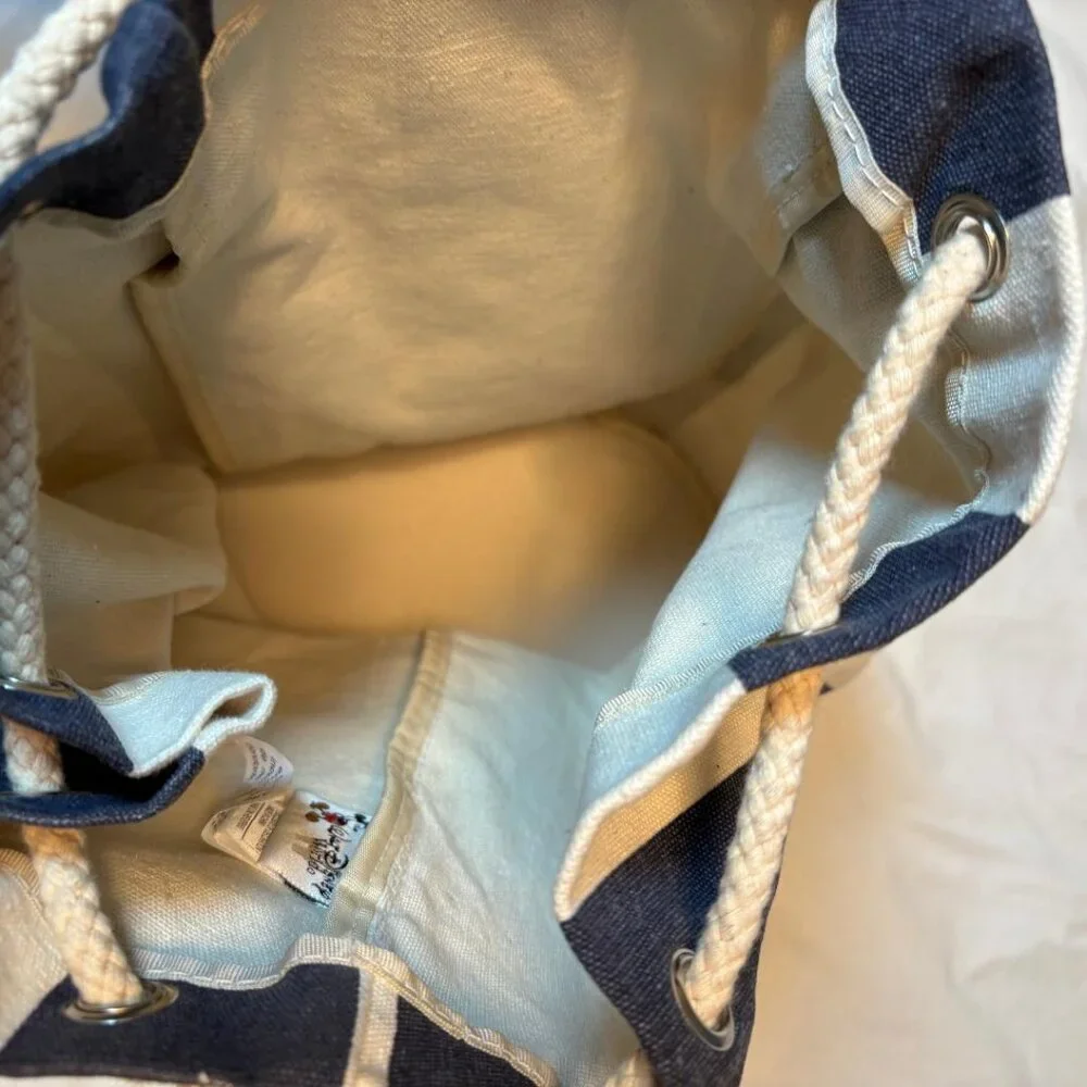 Walt Disney canvas blue